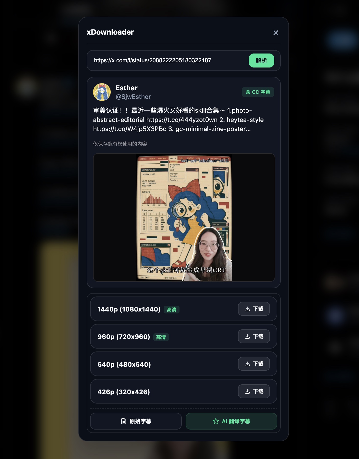 Twitter (𝕏) 视频解析截图